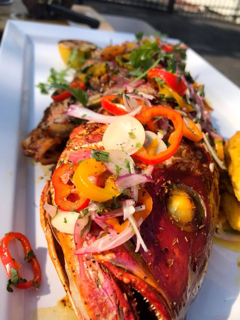 La Terraza Bar & Grill | restaurant | 543 W Hoffman Ave, Lindenhurst, NY 11757, USA | 6319913318 OR +1 631-991-3318