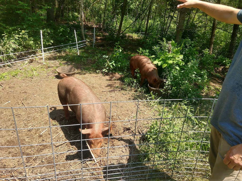 Turning Page Farm Brewery | restaurant | 842 N Guilford Rd, Monson, ME 04464, USA | 2078766360 OR +1 207-876-6360