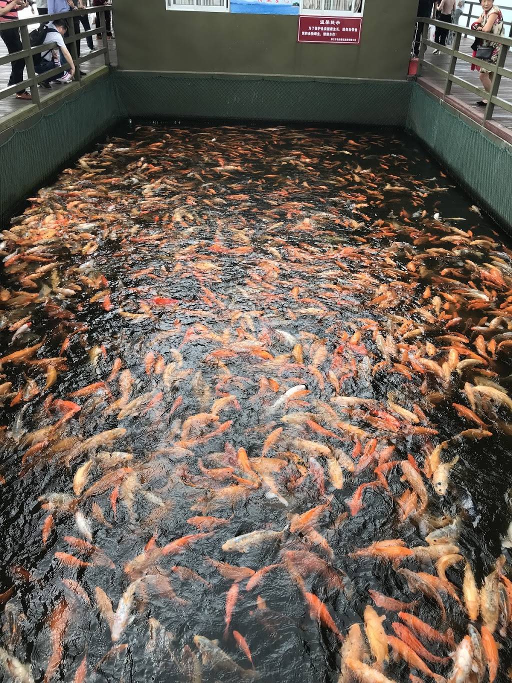 China Garden | meal delivery | 2590 Peachtree Industrial Blvd, Duluth, GA 30097, USA | 6782060600 OR +1 678-206-0600