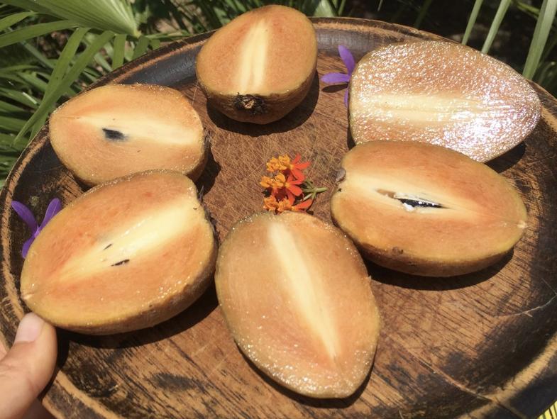 Ital Food Truck | restaurant | 1603 S N St, Lake Worth, FL 33460, USA | 5617045423 OR +1 561-704-5423