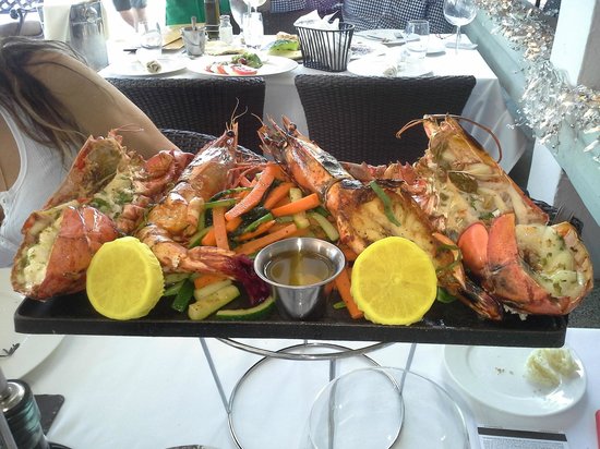 il bolognese | restaurant | 1400 Ocean Dr, Miami Beach, FL 33139, USA | 3054550399 OR +1 305-455-0399