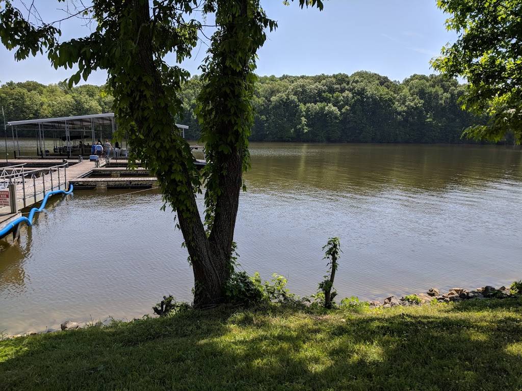 Lakeview Marina | meal takeaway | 1439 Tims Ford Dr, Winchester, TN 37398, USA | 9319676711 OR +1 931-967-6711