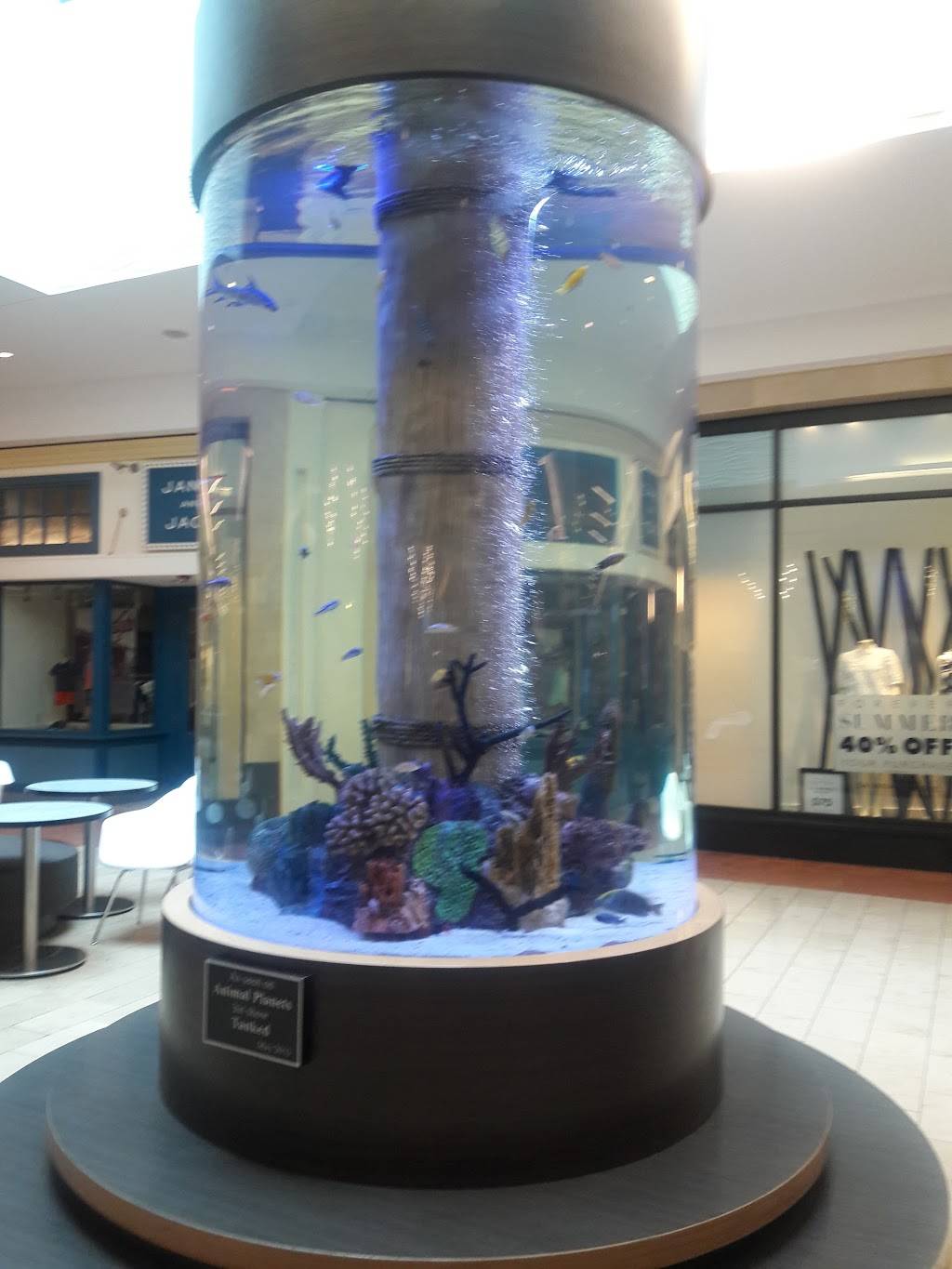 Westfield Annapolis | shopping mall | 2002 Annapolis Mall, Annapolis, MD 21401, USA | 4102665432 OR +1 410-266-5432