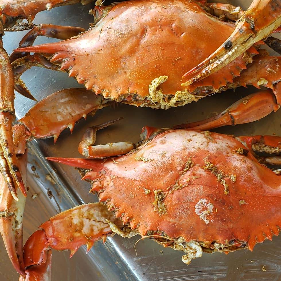 Stuarts Fresh Catch | restaurant | 2400 Mechanicsville Turnpike, Richmond, VA 23223, USA | 8046433474 OR +1 804-643-3474