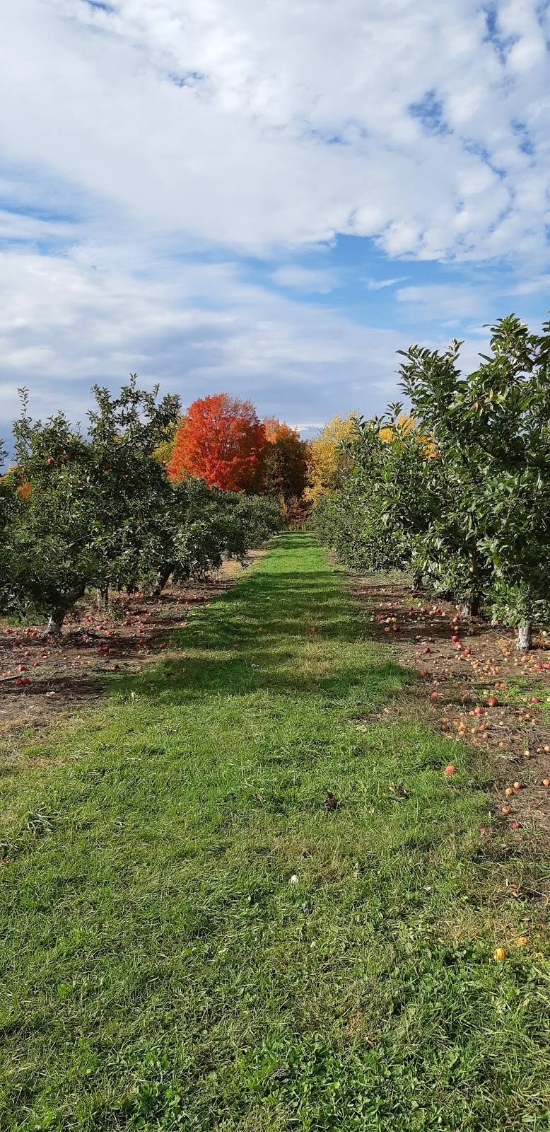 Flanklin | restaurant | 1019 QC-202, Hinchinbrooke, QC J0S 1E0, Canada | 4508272565 OR +1 450-827-2565