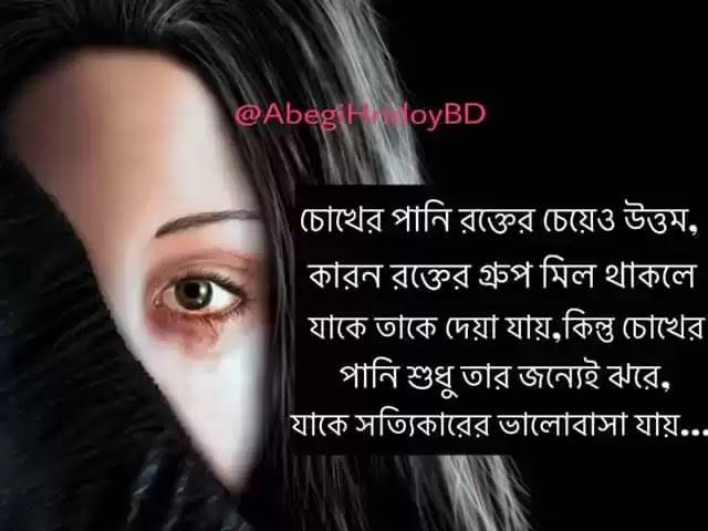 New Kitchen Chinese Restaurant | restaurant | 702 S Broad St, Trenton, NJ 08611, USA | 6093938088 OR +1 609-393-8088