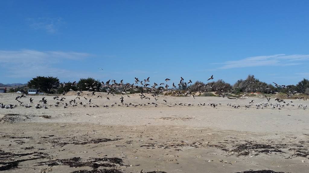 Chipwrecked | restaurant | 246 Pomeroy Ave, Pismo Beach, CA 93449, USA | 8055565272 OR +1 805-556-5272