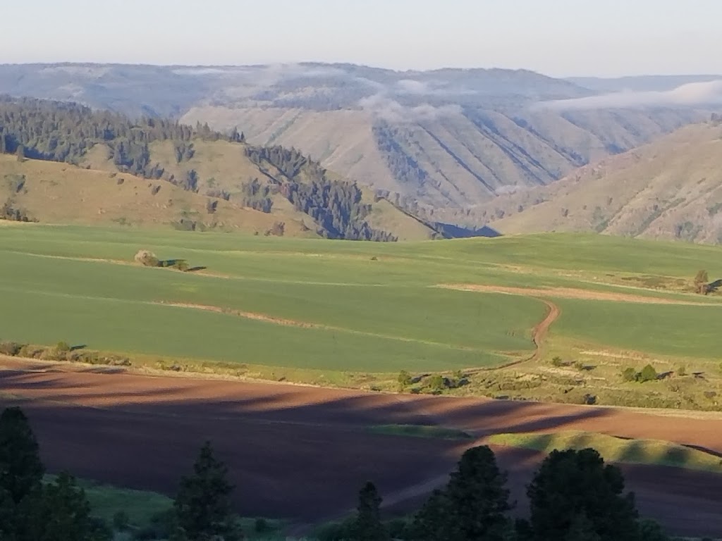 Troy Resort and Wenaha Bar&Grill | restaurant | 84570 Bartlett Rd, Enterprise, OR 97828, USA | 5418287773 OR +1 541-828-7773