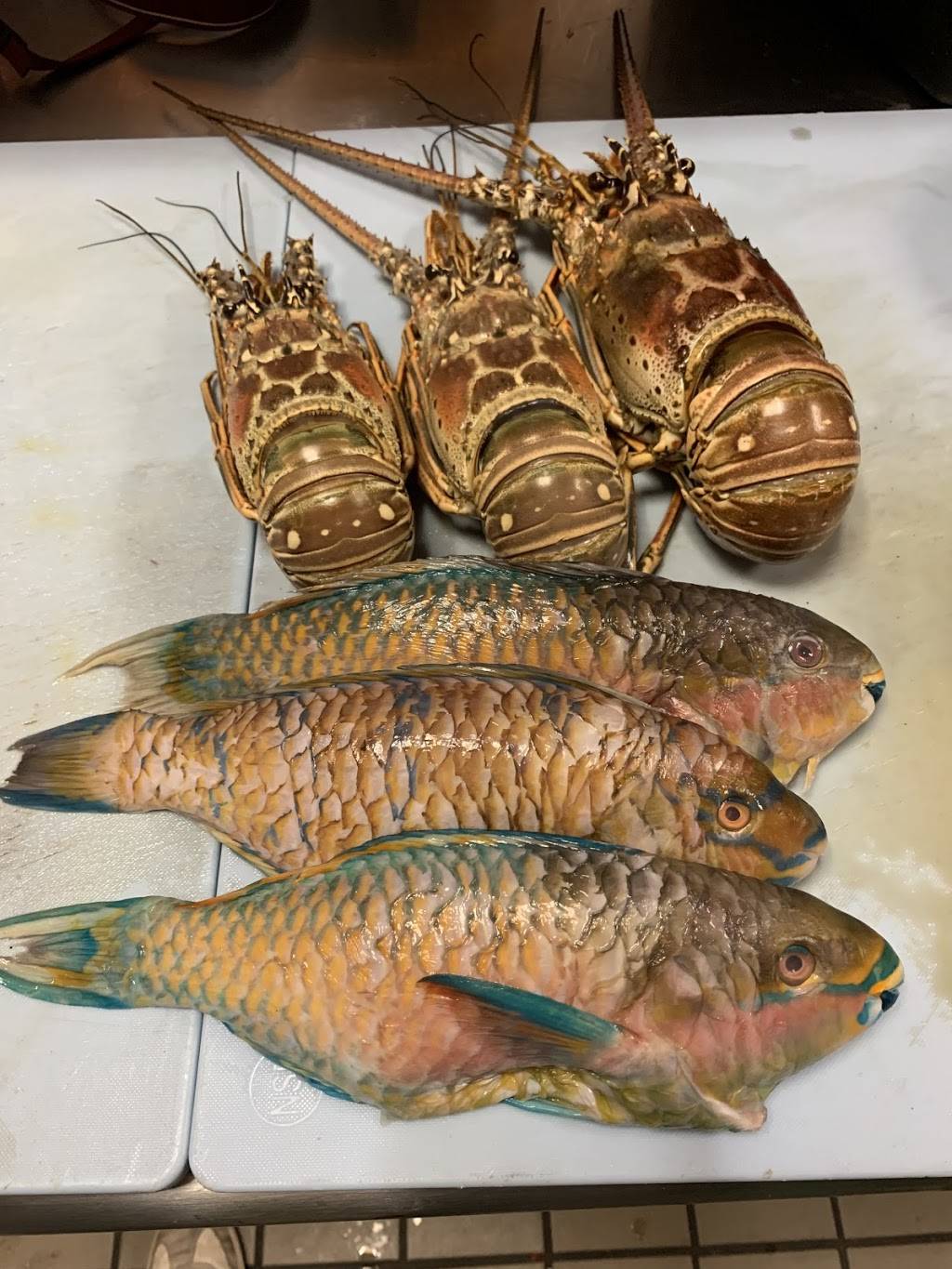 Breezes Island Grill Restaurant and Lounge | night club | 230-06 & 08, S Conduit Ave, Rosedale, NY 11422, USA | 7185275012 OR +1 718-527-5012