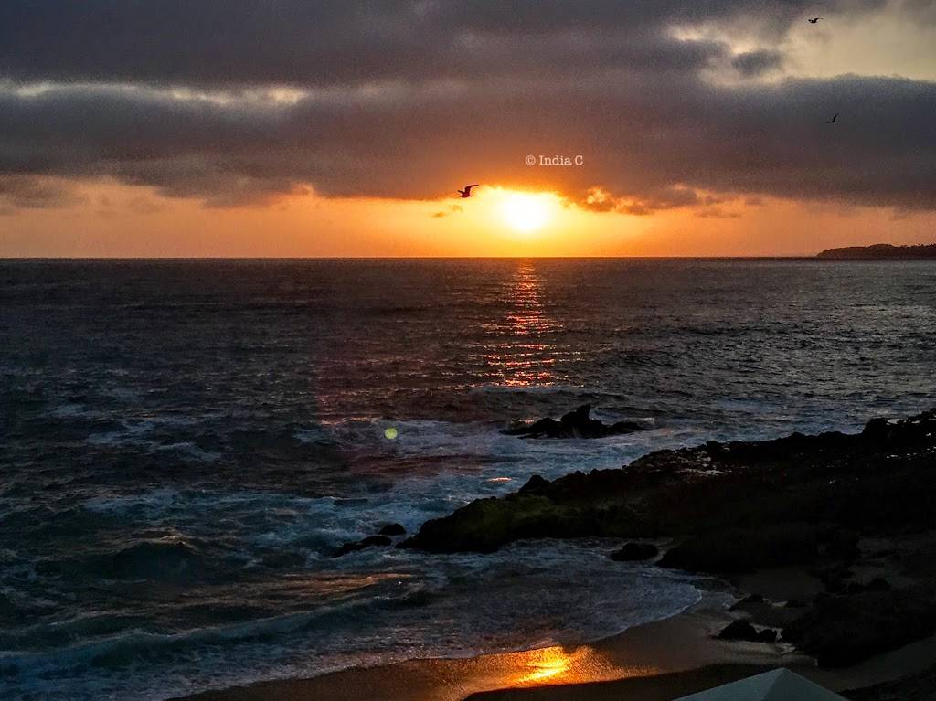 Mosaic Bar & Grille | restaurant | 30801 Coast Hwy, Laguna Beach, CA 92651, USA | 9497156020 OR +1 949-715-6020