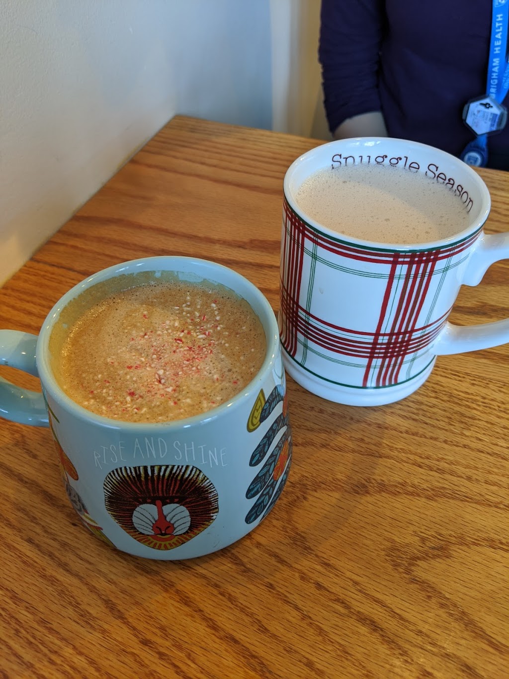 Solid Ground Cafe | restaurant | 742 Huntington Ave, Boston, MA 02115, USA | 6174875557 OR +1 617-487-5557