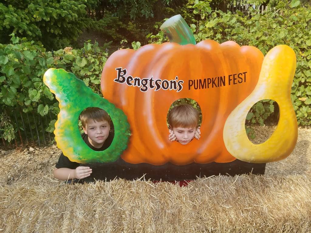 Bengtsons Pumpkin Farm and Fall Fest | meal takeaway | 13341 W 151st St, Homer Glen, IL 60491, USA | 7083013276 OR +1 708-301-3276