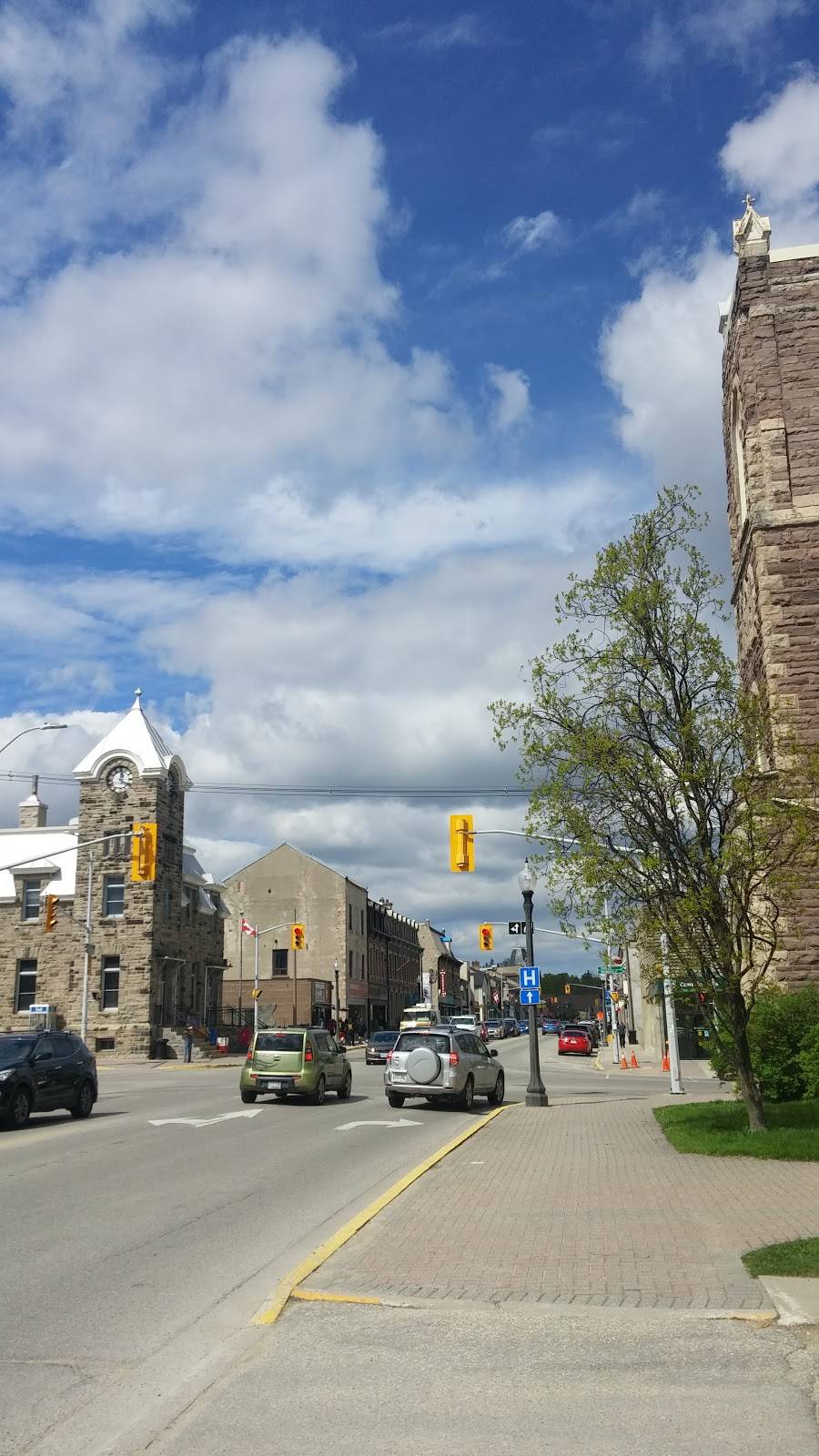 Dominos Pizza | meal delivery | 351 St Andrew St W, Fergus, ON N1M 1P1, Canada | 5198438383 OR +1 519-843-8383