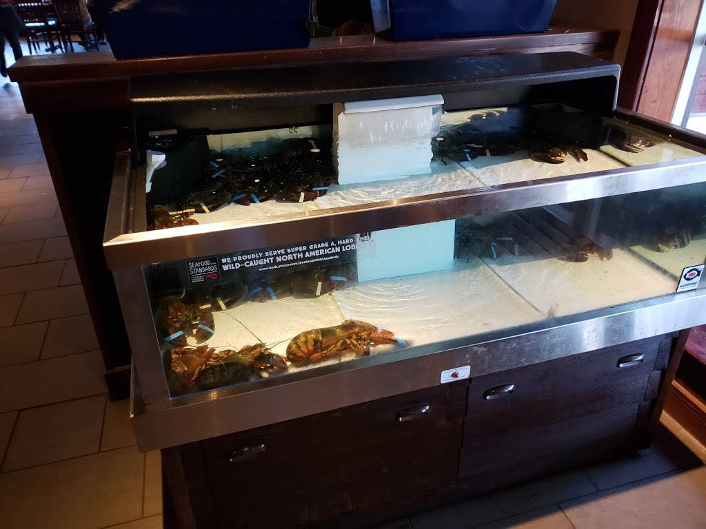 Red Lobster | restaurant | 4805 S Hulen St, Fort Worth, TX 76132, USA | 8172927293 OR +1 817-292-7293