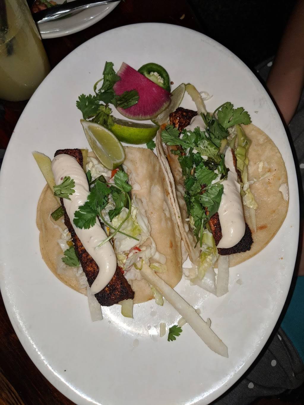 Perro Salado | restaurant | 19 Charles St, Newport, RI 02840, USA | 4016194777 OR +1 401-619-4777