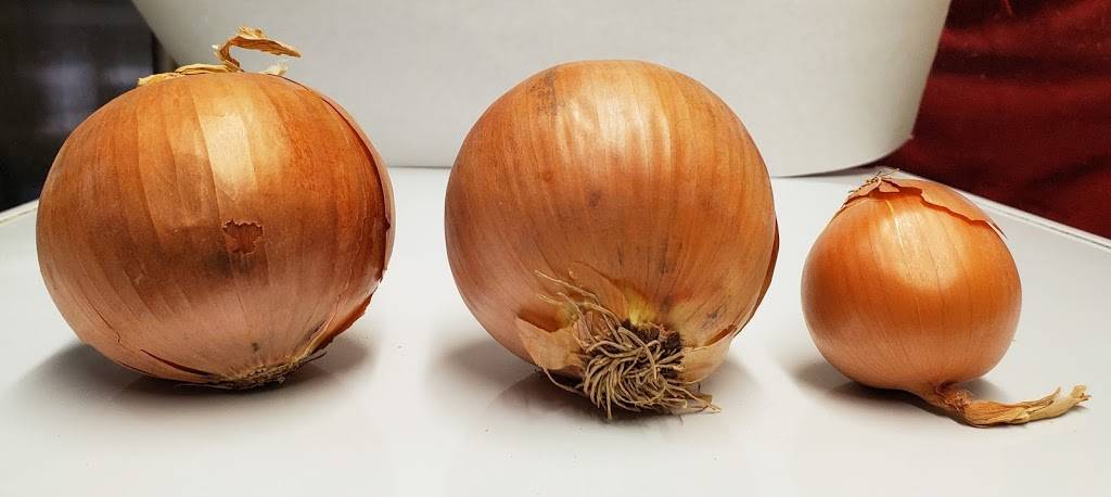 Hogie House Sandwiches | restaurant | 5810 E 22nd St, Tucson, AZ 85711, USA | 5207906703 OR +1 520-790-6703