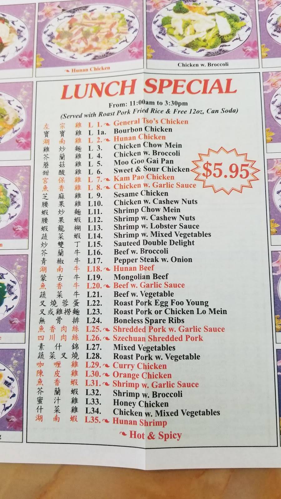 China Star | restaurant | 5211 E Fowler Ave, Temple Terrace, FL 33617, USA | 8139885599 OR +1 813-988-5599