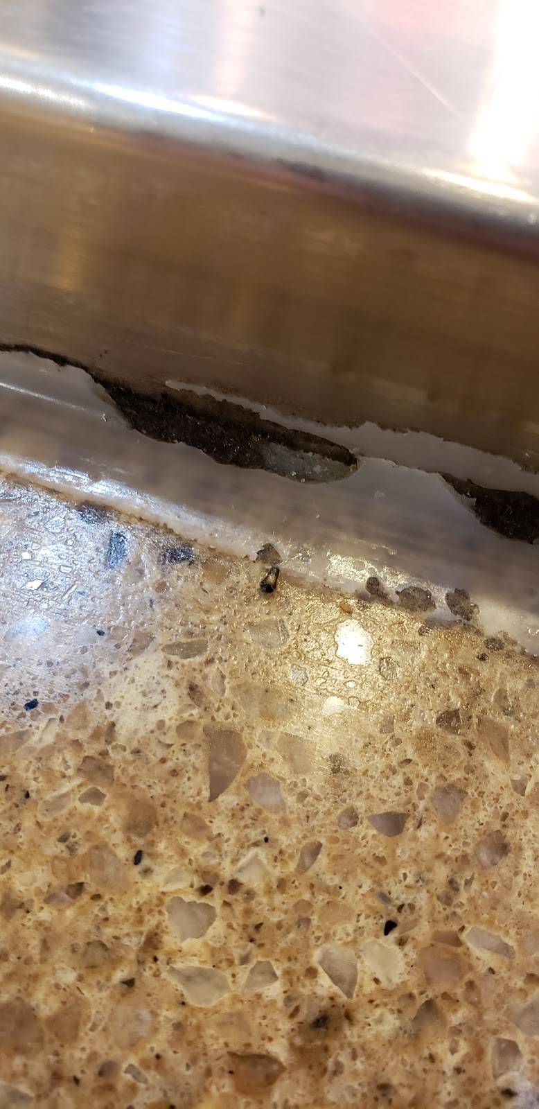 Little Tokyo | restaurant | 313 Smith Haven Mall Lake Grove NY 11755, Lake Grove, NY 11755, USA | 6313608064 OR +1 631-360-8064