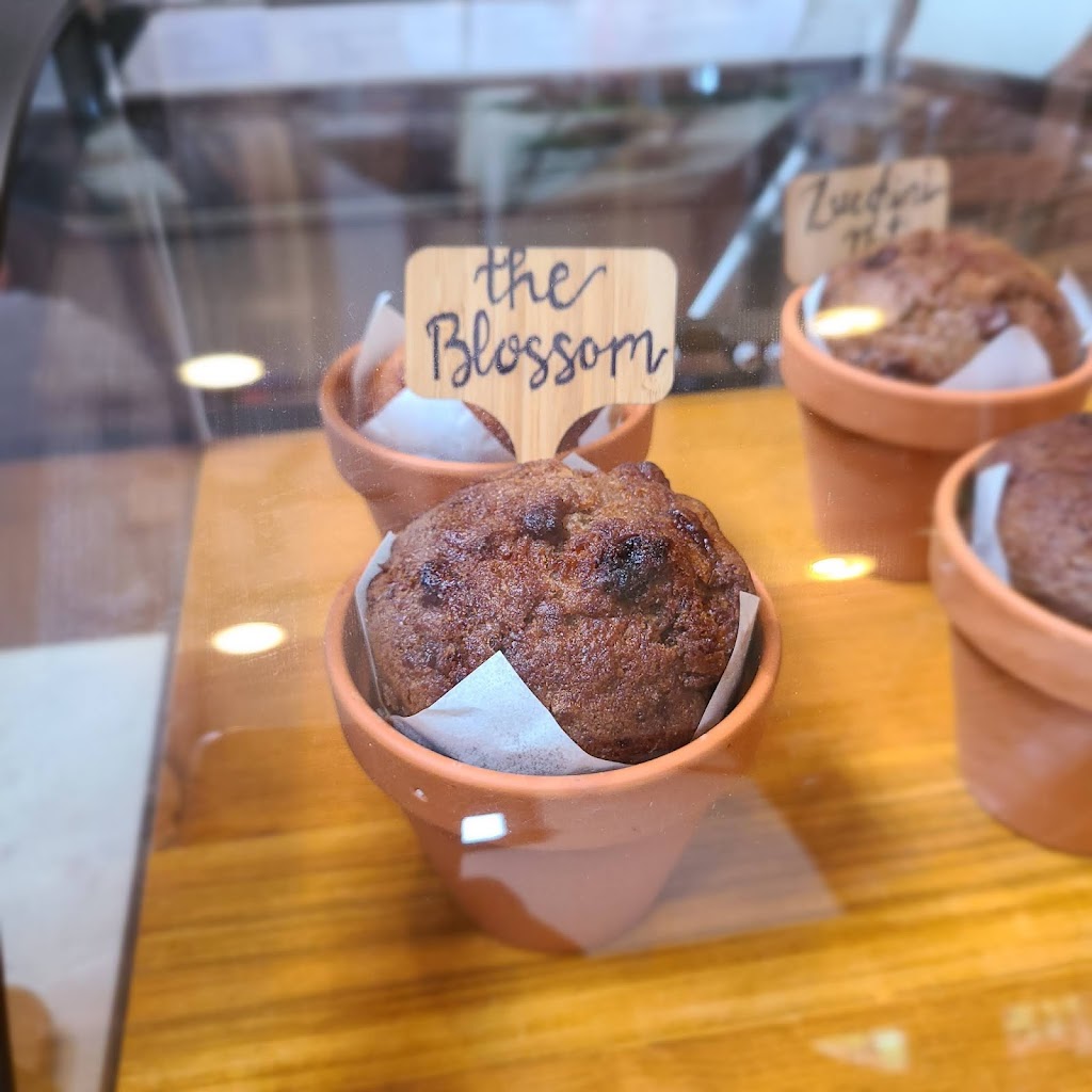 Blossom Cafe | cafe | Inside Floral & Hardy, 4007 W Skippack Pike, Skippack, PA 19474, USA | 6105840797 OR +1 610-584-0797