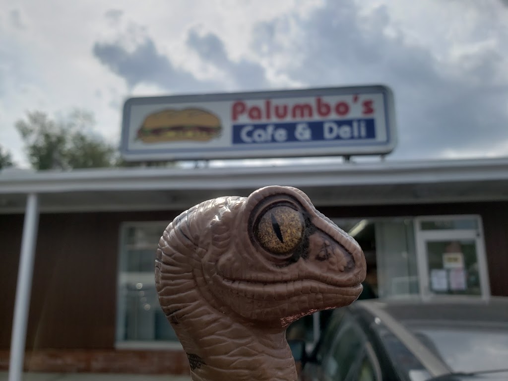 Palumbo’s Beverage and Deli | restaurant | 31606 Vine St, Willowick, OH 44095, USA | 4405375887 OR +1 440-537-5887