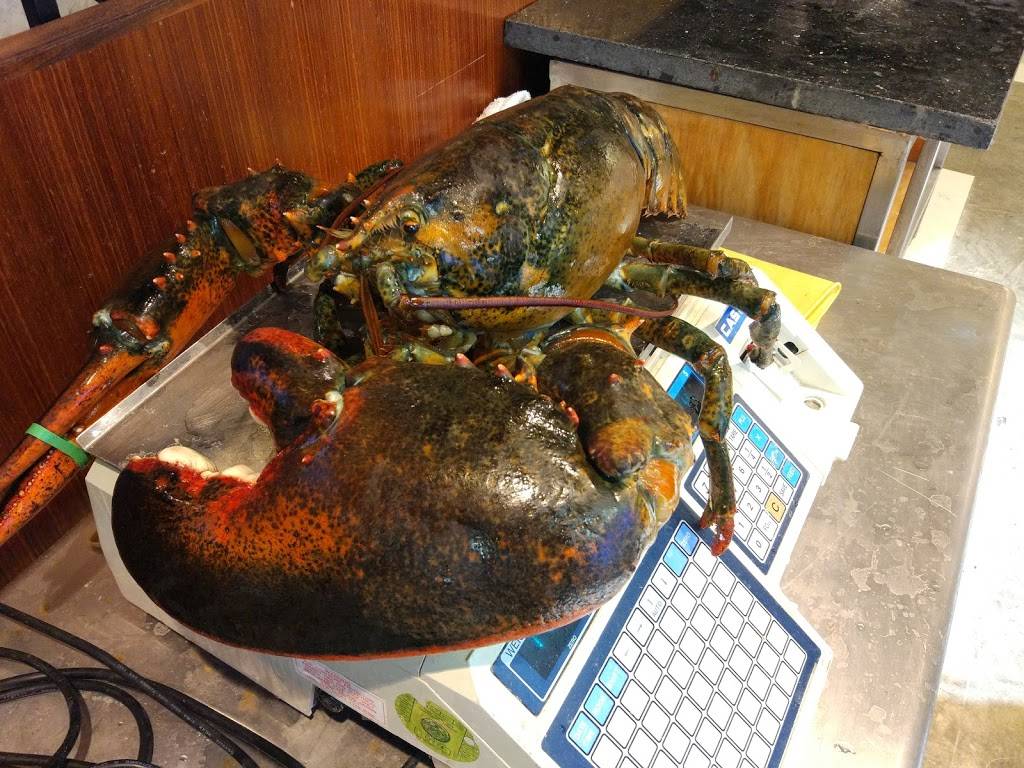 Islander Seafood | restaurant | 79-21 Queens Blvd, Elmhurst, NY 11373, USA | 9177450358 OR +1 917-745-0358