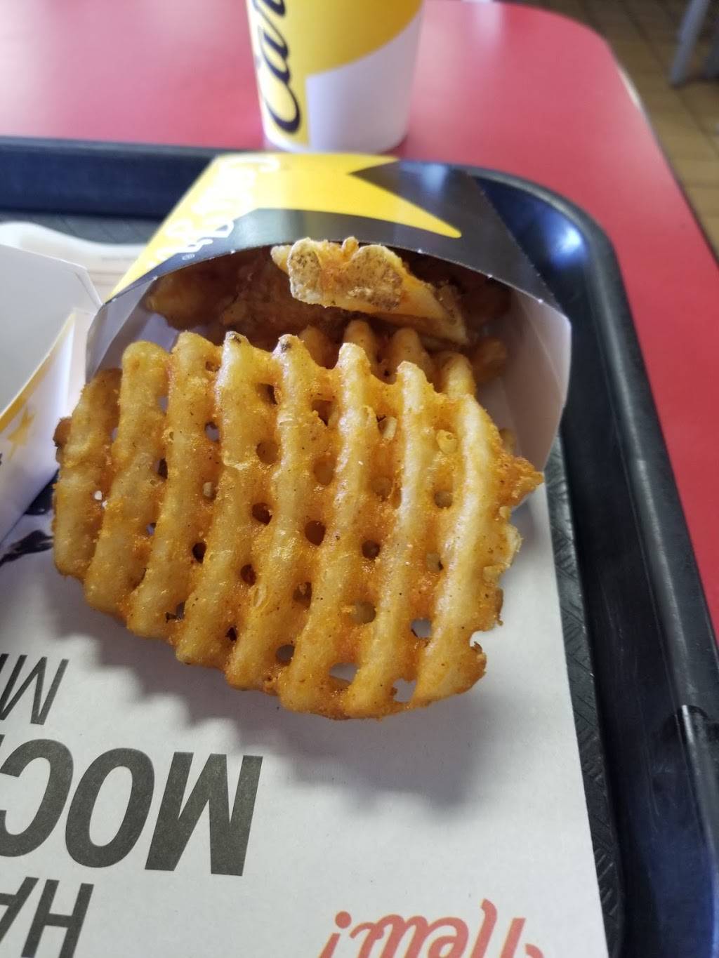 Carls Jr. | restaurant | 46637 Mission Blvd, Fremont, CA 94539, USA | 5104932353 OR +1 510-493-2353