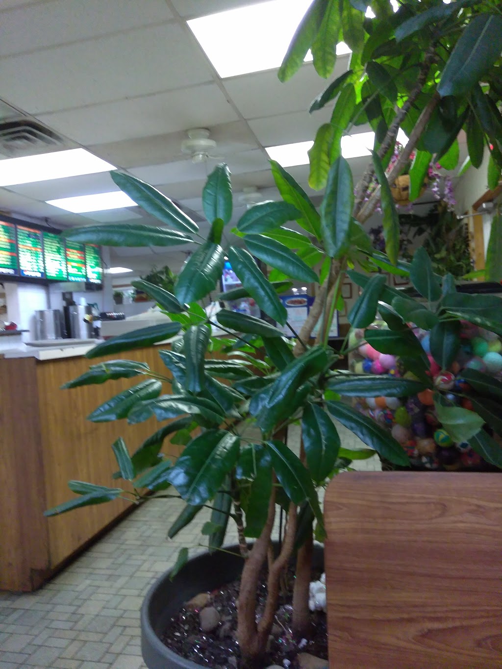 Carolina Fine Foods | restaurant | 3400 Augusta Rd, Greenville, SC 29605, USA | 8642774982 OR +1 864-277-4982