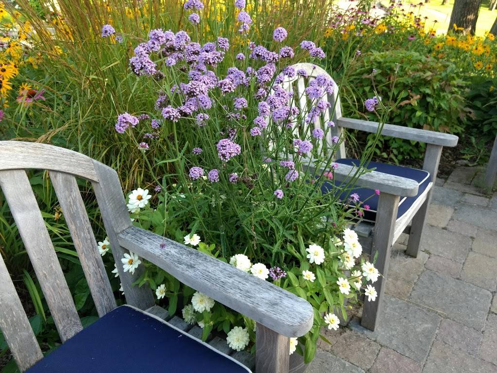 Cafe Manitou | restaurant | The Homestead Resort, Glen Arbor, MI 49636, USA | 2313345216 OR +1 231-334-5216