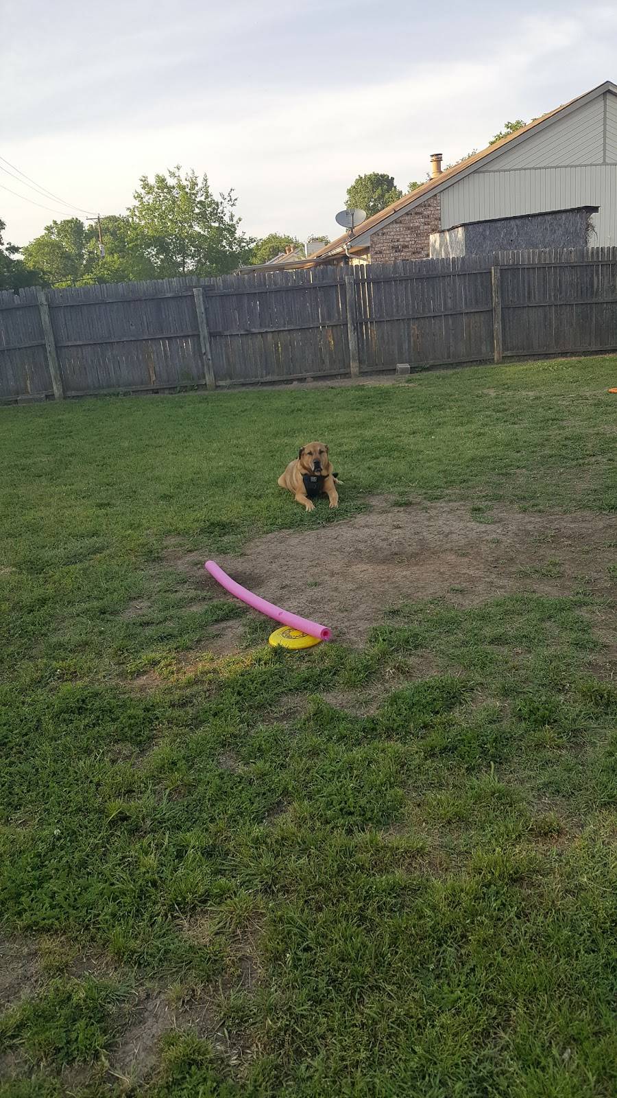 Parkhill Park Concession Stand | restaurant | 5100 S Robinson Rd, Grand Prairie, TX 75052, USA | 9722377529 OR +1 972-237-7529