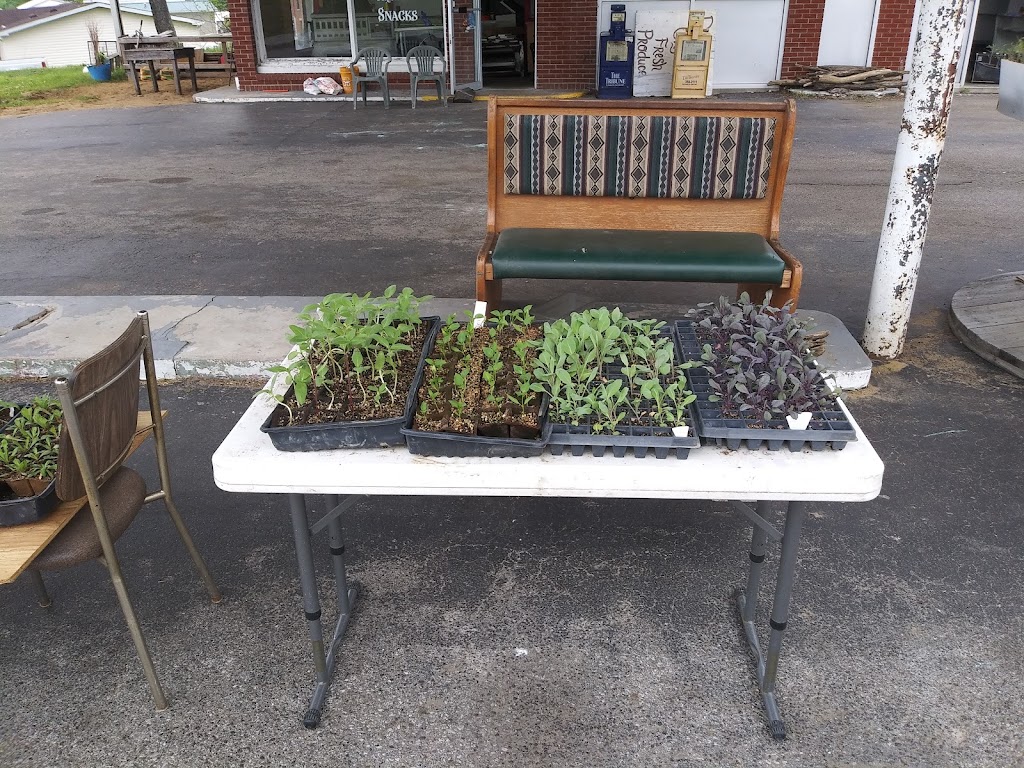 Driftwood trading post | restaurant | 2380 IN-135, Vallonia, IN 47281, USA | 8125287509 OR +1 812-528-7509