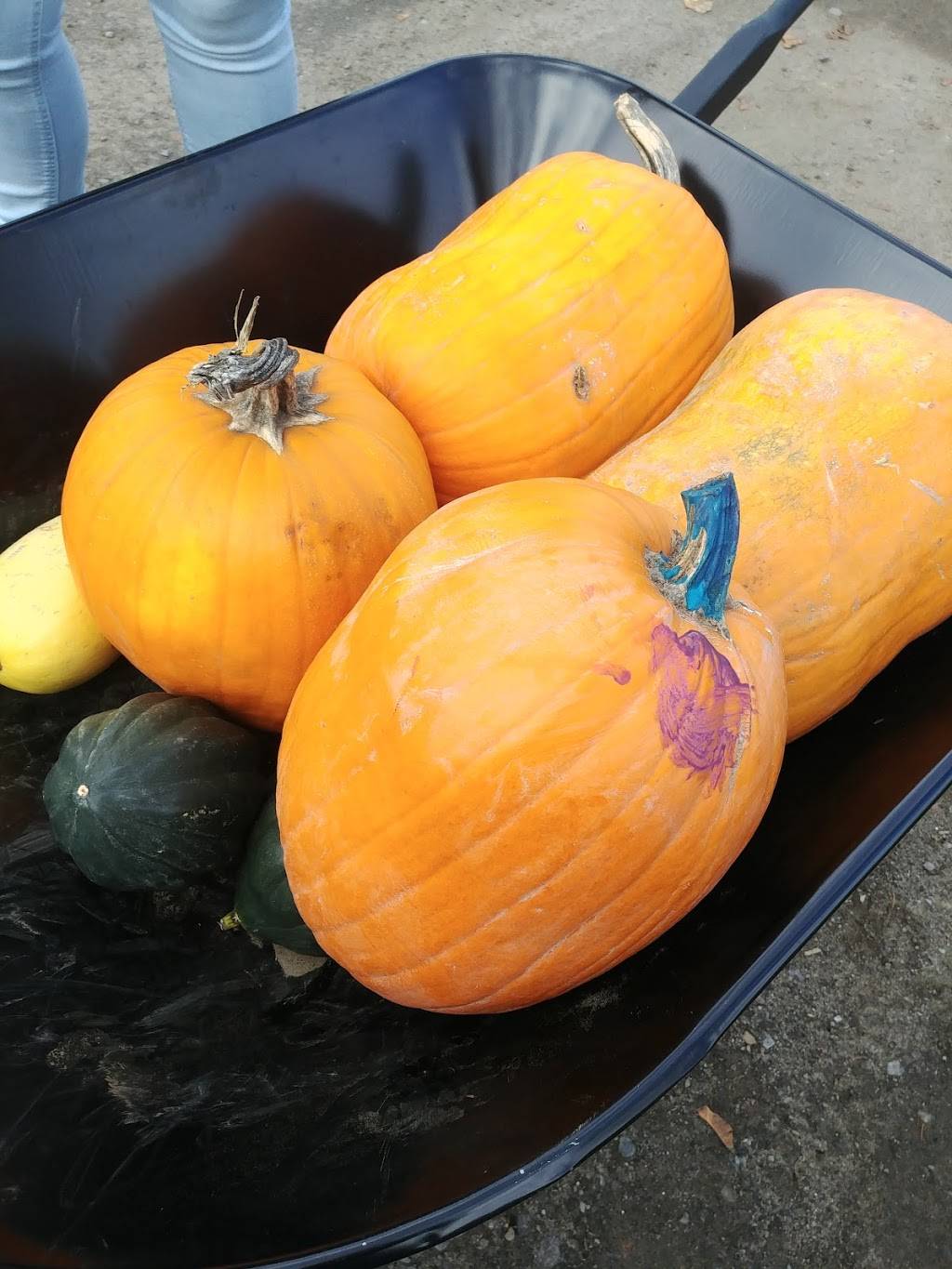 L’entêté Microbrasserie | restaurant | 15400 charles, Mirabel, QC J7J 0V9, Canada | 4504347476 OR +1 450-434-7476