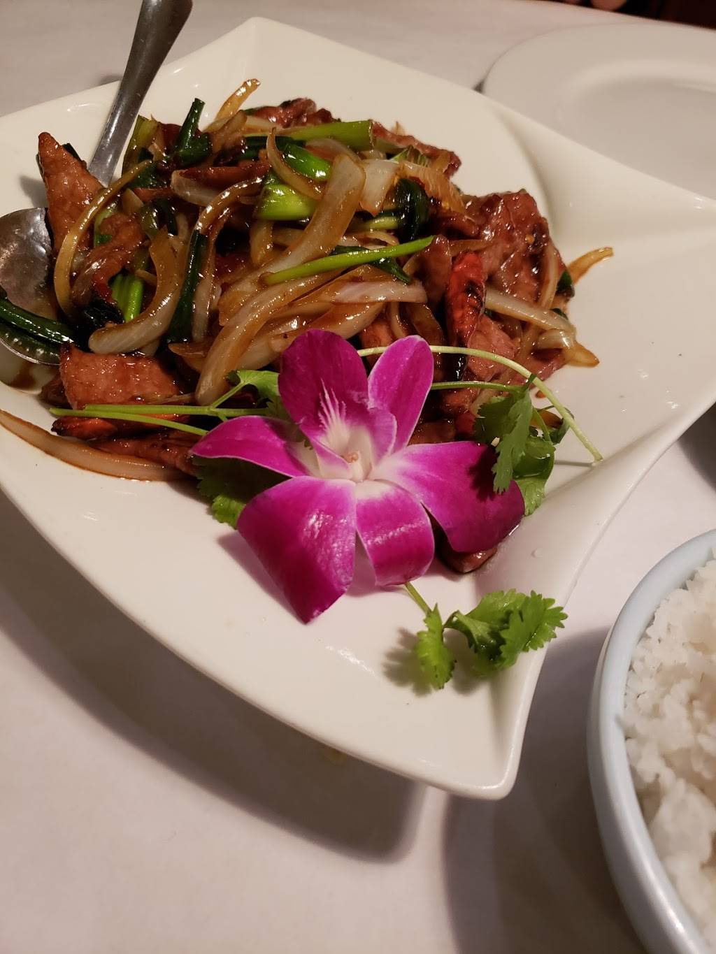 Honey Bee Asian Bistro | restaurant | 18541 E Hampden Ave #132, Aurora, CO 80013, USA | 3034006117 OR +1 303-400-6117