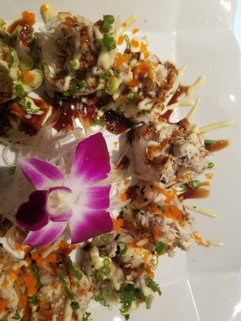 Daruma Japanese Steakhouse & Sushi Lounge Landings | restaurant | 4910 S Tamiami Trail, Sarasota, FL 34231, USA | 9415529465 OR +1 941-552-9465