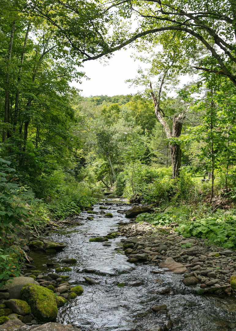 Urban Cowboy Lodge | restaurant | 37 Alpine Rd, Big Indian, NY 12410, USA | 8452545026 OR +1 845-254-5026
