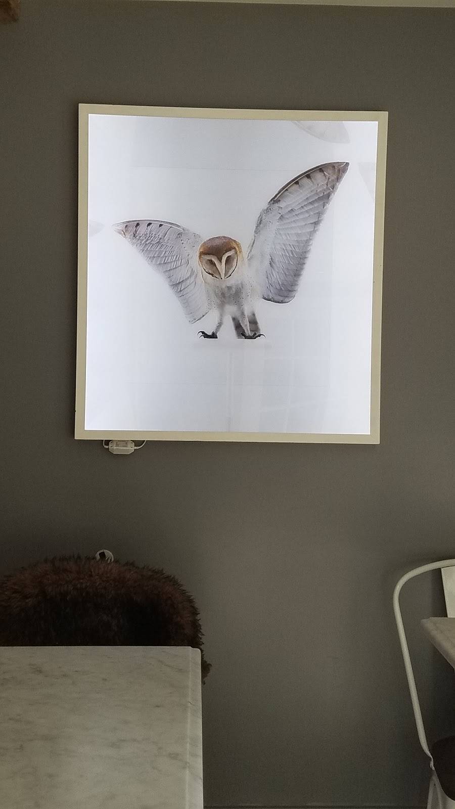 The Owl | restaurant | 18 E Shore Rd, Warren, CT 06777, USA | 8606190585 OR +1 860-619-0585