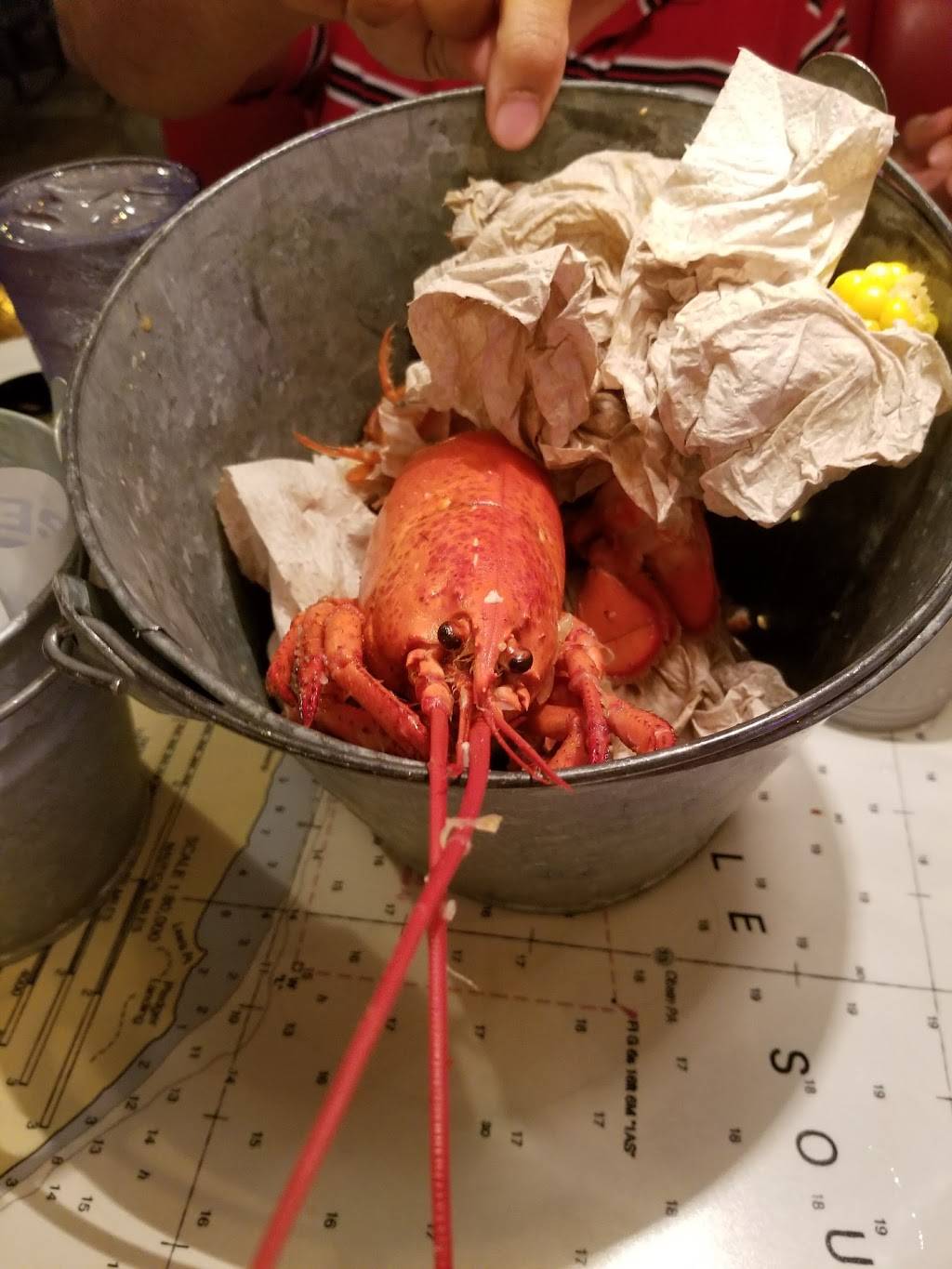 Joes Crab Shack | restaurant | 1568 Crossways Blvd, Chesapeake, VA 23320, USA | 7574208330 OR +1 757-420-8330