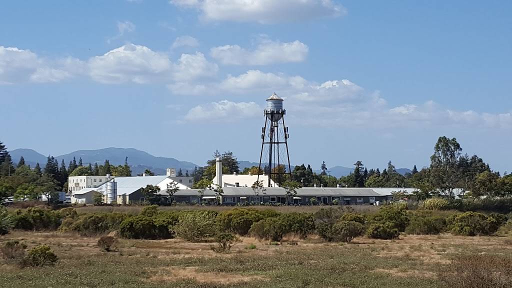 Tacos Chavez | restaurant | 75 Coombs St, Napa, CA 94559, USA | 7072531279 OR +1 707-253-1279