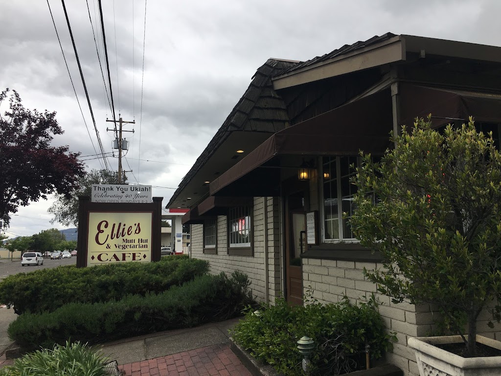 Ellies Mutt Hut & Vegetarian | cafe | 732 S State St, Ukiah, CA 95482, USA | 7074685376 OR +1 707-468-5376