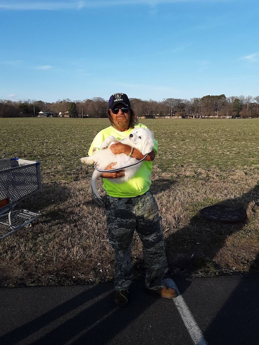 Captains Pizza & Grill | restaurant | 24832 John J Williams Hwy #3, Millsboro, DE 19966, USA | 3029452222 OR +1 302-945-2222