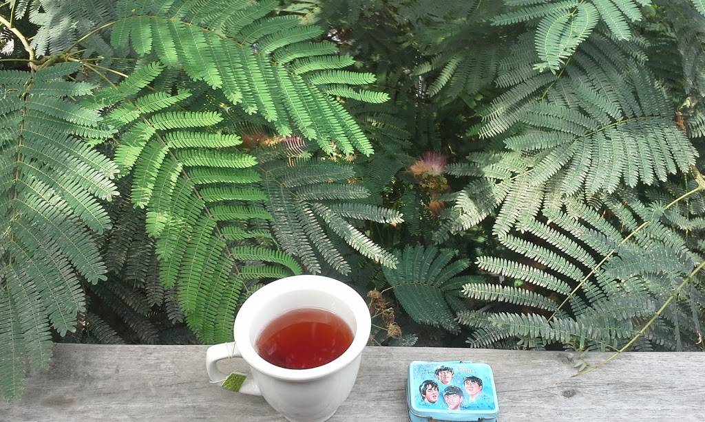 The Camel | restaurant | 1621 W Broad St, Richmond, VA 23220, USA | 8043534901 OR +1 804-353-4901