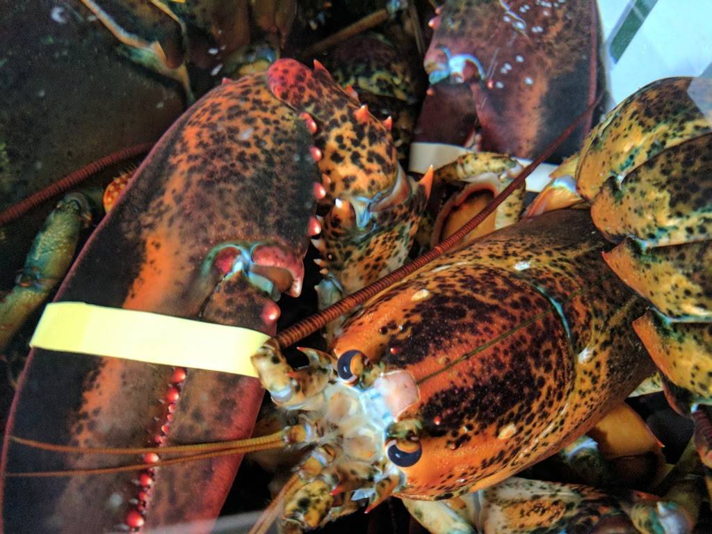 Docks Seafood | restaurant | 15 Evans St, South Portland, ME 04106, USA | 2078994433 OR +1 207-899-4433