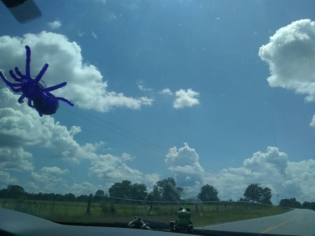 Subway | meal takeaway | 4831 Ocmulgee E Blvd E, Macon, GA 31217, USA | 4787410090 OR +1 478-741-0090