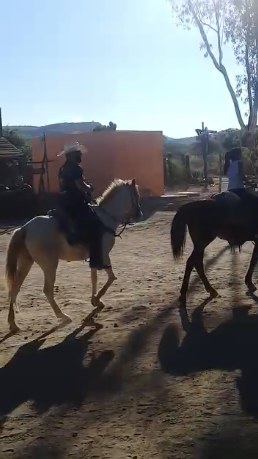 Hey Papirrin | restaurant | 601 Jackrabbit Trail, Buckeye, AZ 85326, USA | 6232625999 OR +1 623-262-5999