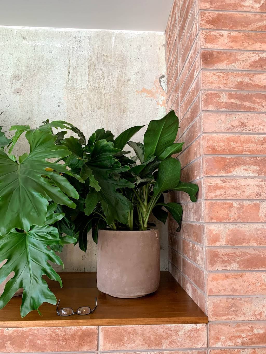 Loqui | restaurant | 818 E 3rd St #150, Los Angeles, CA 90013, USA | 2132657558 OR +1 213-265-7558