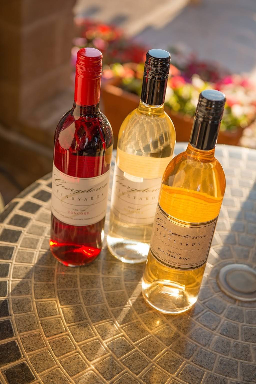 Georgetown Vineyards | restaurant | 62920 Georgetown Rd, Cambridge, OH 43725, USA | 7404353222 OR +1 740-435-3222