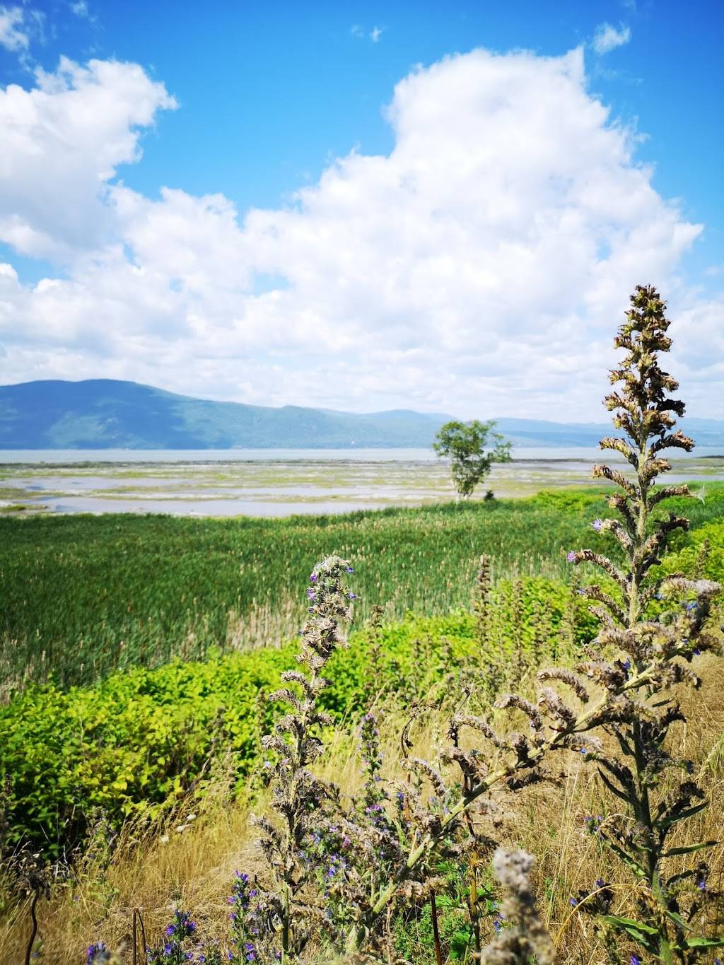 Casse-Croûte Dla Côte | restaurant | 6620 Rte Marie-Victorin, St-Croix, QC G0S 2H0, Canada | 4189261332 OR +1 418-926-1332