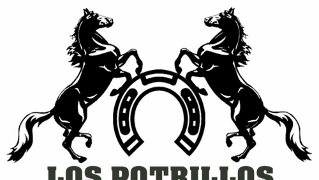 Los potrillos bar & mexicano food | restaurant | 670 E Jackson St, Joliet, IL 60432, USA | 8153423941 OR +1 815-342-3941
