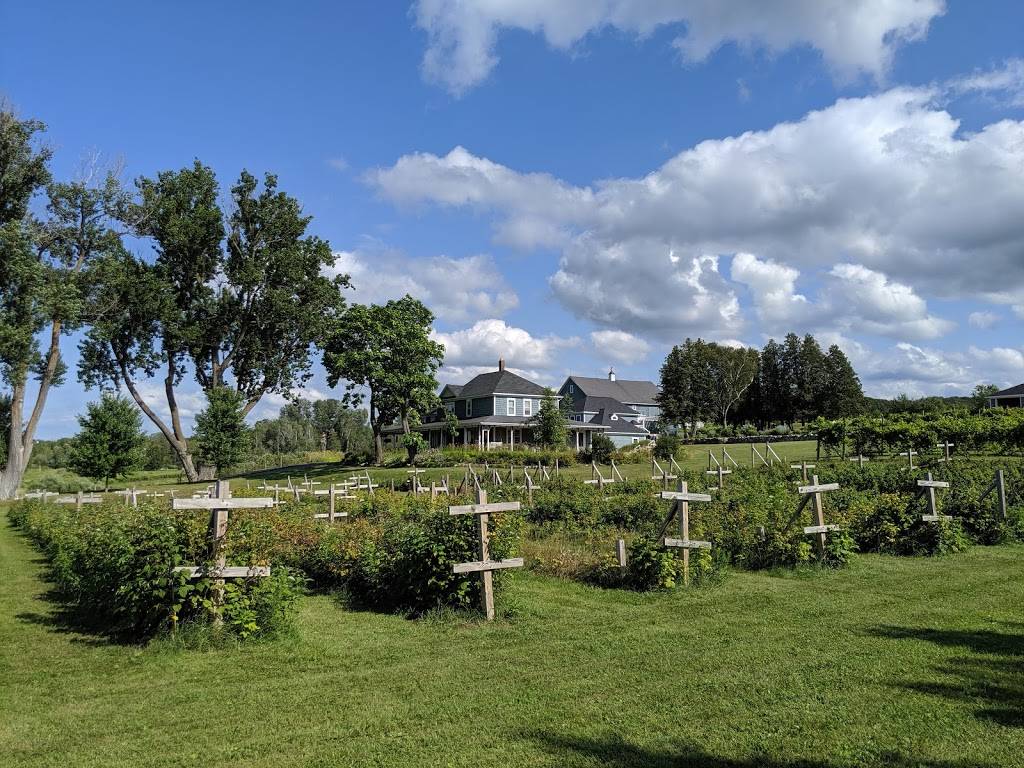Gabriel Farms & Winery | restaurant | 2800 E Mitchell Rd, Petoskey, MI 49770, USA | 2318383664 OR +1 231-838-3664