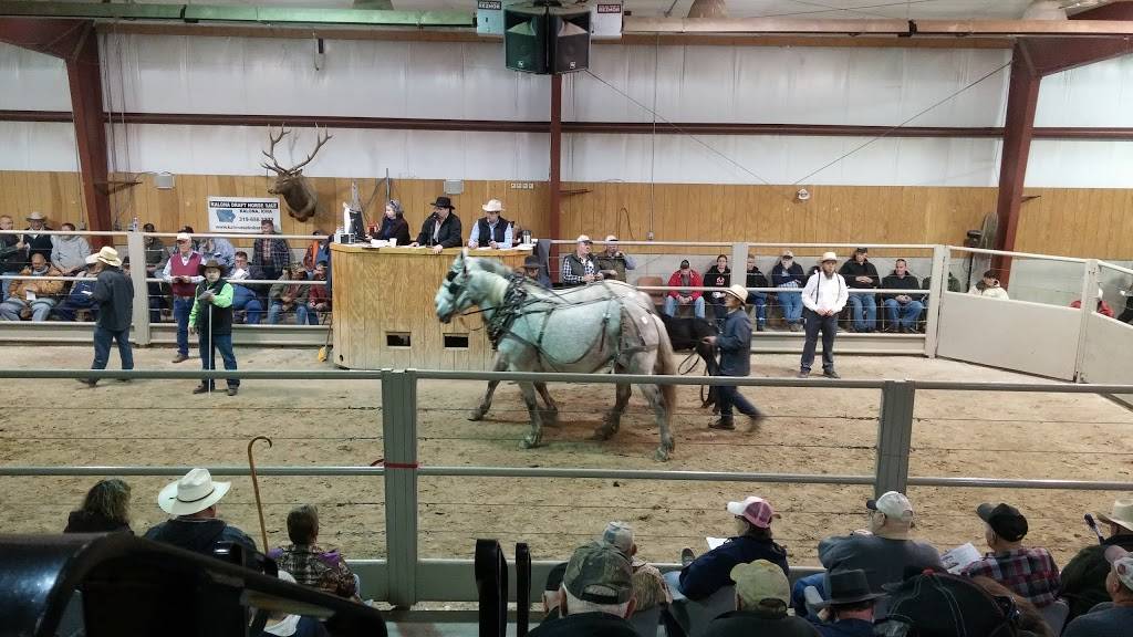 Kalona Sales Barn Lunchroom | restaurant | 121 9th St, Kalona, IA 52247, USA | 3196562222 OR +1 319-656-2222