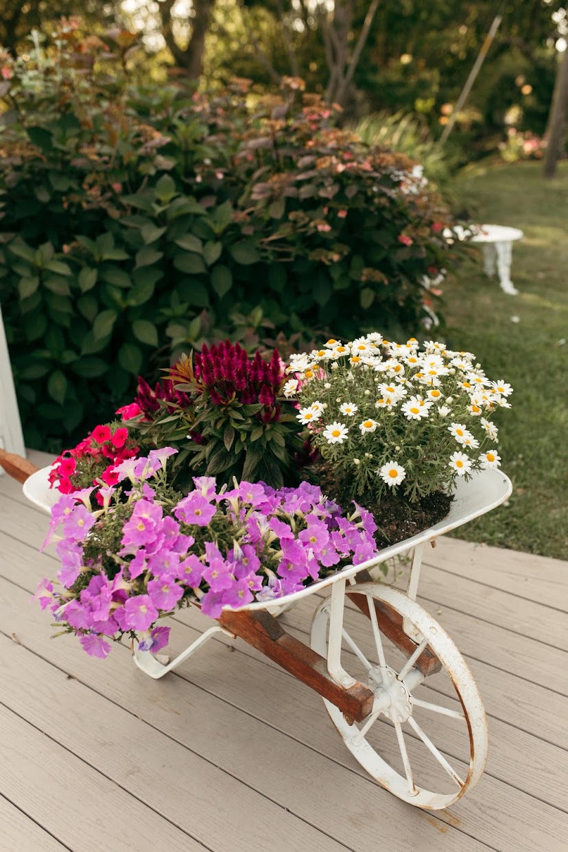 Hotel Manisses | restaurant | 251 Spring St, New Shoreham, RI 02807, USA | 4014669898 OR +1 401-466-9898